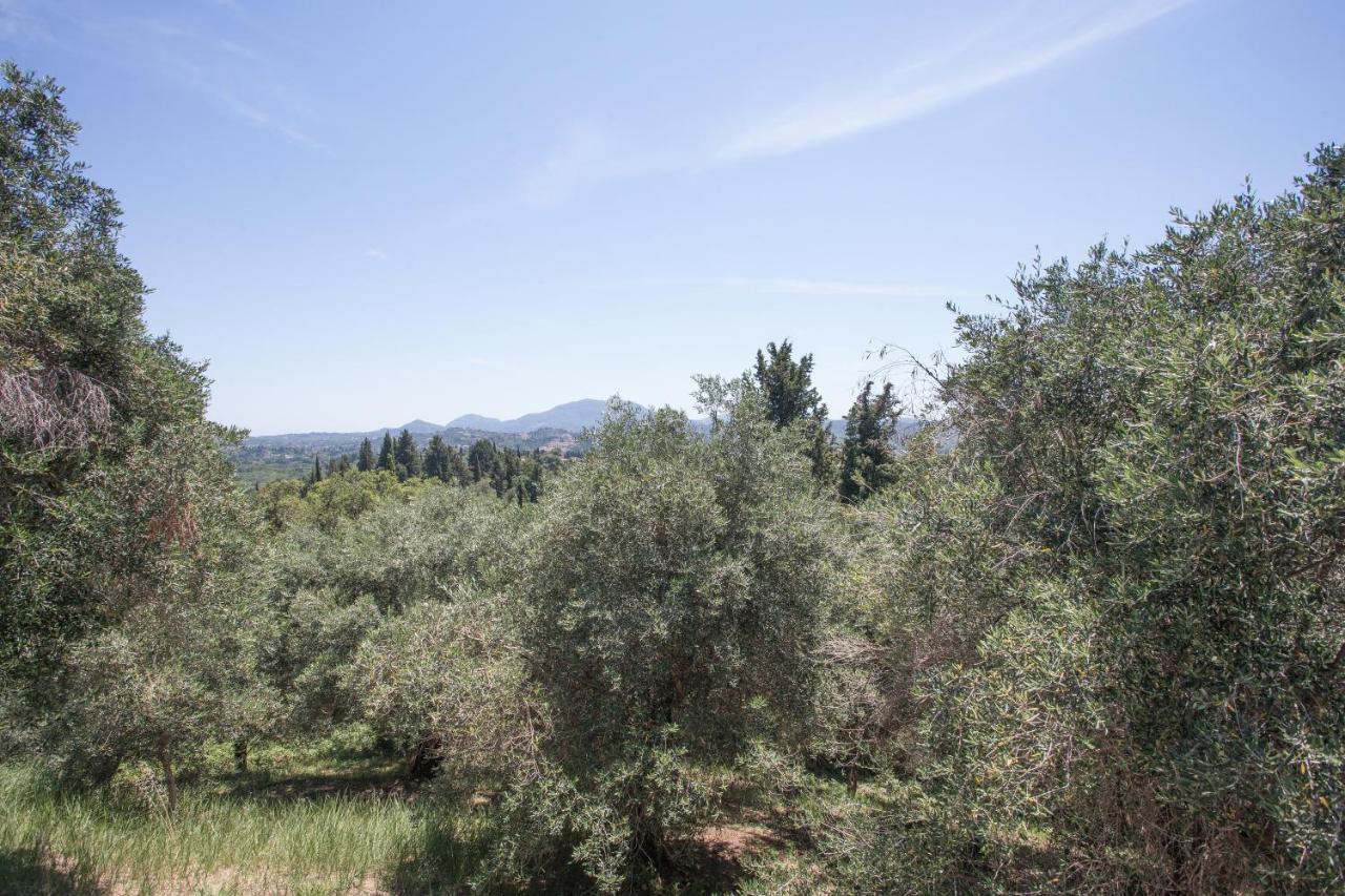 Ferienhaus Olive Tree House